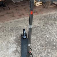 Monopattino vivo