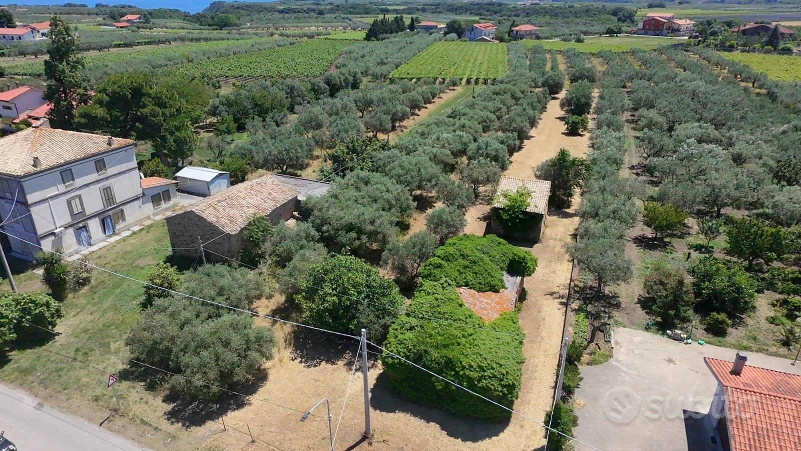 Terreno edificabile 2.000mq e rudere S.v. Chietino - Vista 3