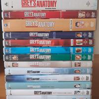 Dvd Grey's Anatomy stagioni 1-15