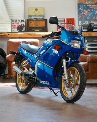 Yamaha TZR 125 FMI 1989