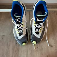 Scarpa da basket jordan