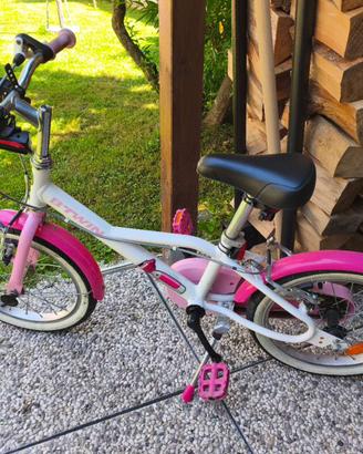 Bici bamba