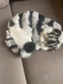 Gatto finto