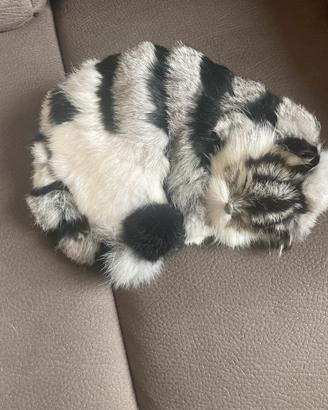 Gatto finto