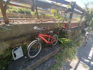 bicicletta 