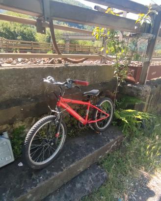bicicletta 