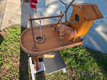 gioco per pappagallini