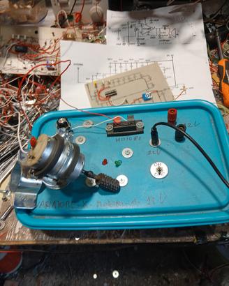 e un variatore per motori elettrici 12v con scambi