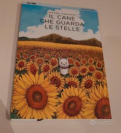 Il Cane Che Guarda Le Stelle