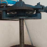 Torchio manuale per uva 