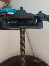 Torchio manuale per uva 