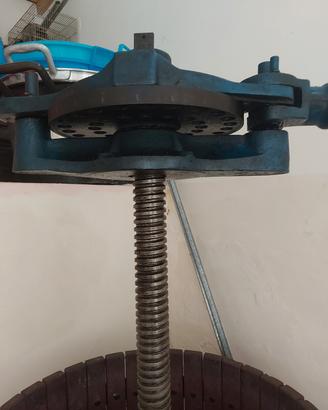 Torchio manuale per uva 