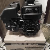 Motore  Koler benzina 