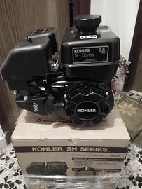 Motore  Koler benzina 