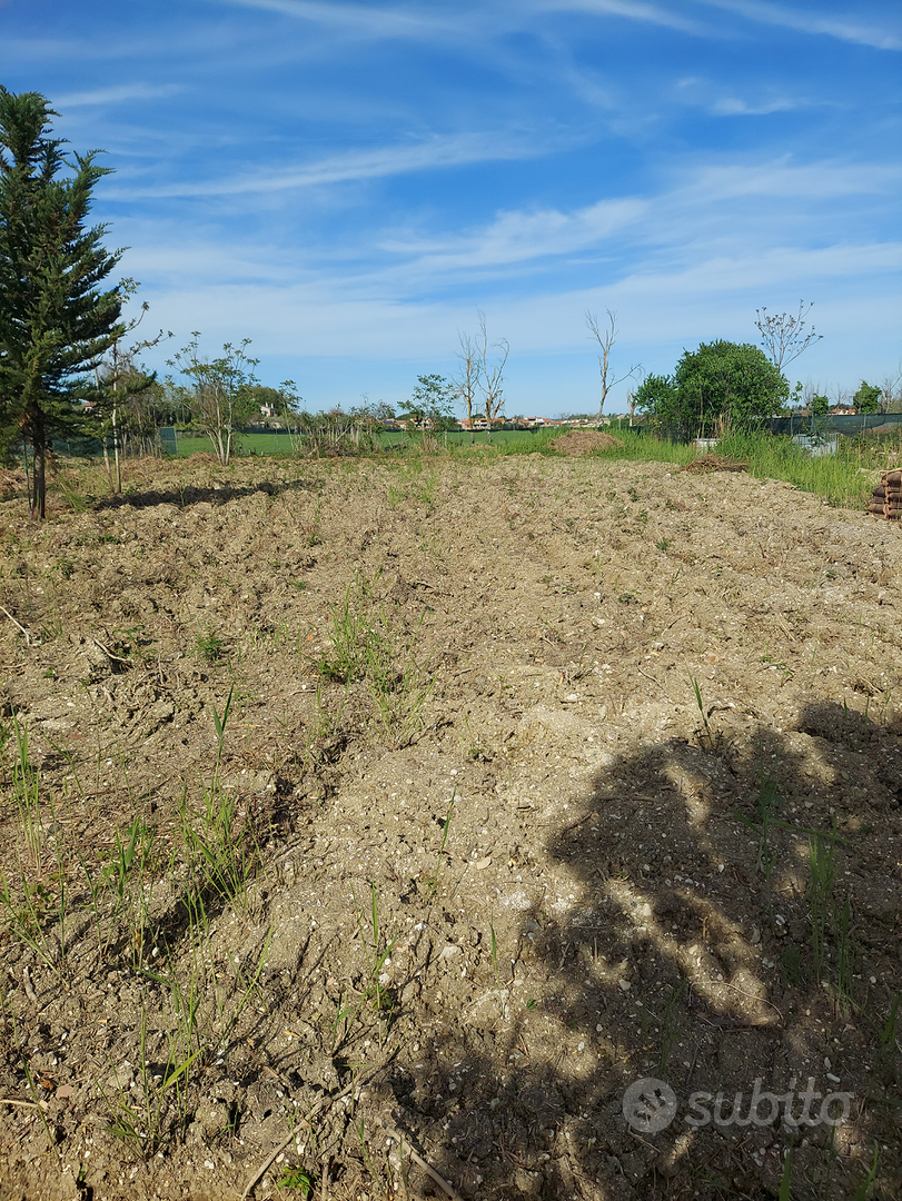 Terreno agricolo pianura recintato - Vista 3