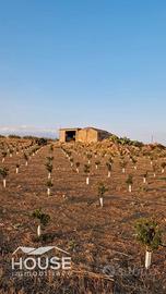 Paterno'- avviata azienda agricola id: pa001va