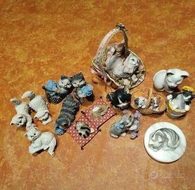 Gattini da collezione