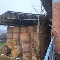 fieno di primo taglio