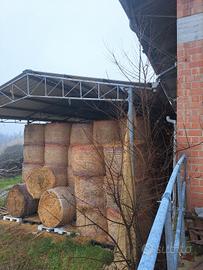 fieno di primo taglio