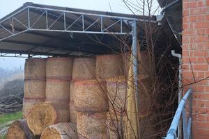 fieno di primo taglio