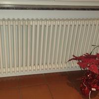 Termosifone radiatore Marca Zehnder