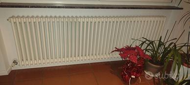 Termosifone radiatore Marca Zehnder