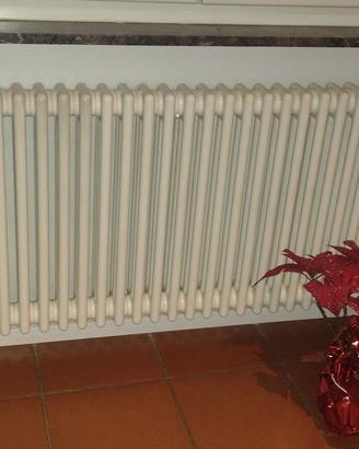 Termosifone radiatore Marca Zehnder