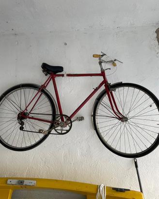 Bici uomo 28