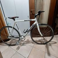 bicicletta sportiva unisex 