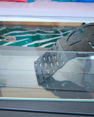 Tartarughiera acquario