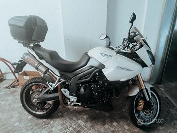 Tiger Triumph 1050