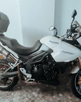 Tiger Triumph 1050