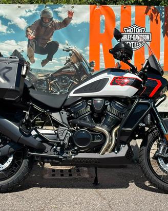 H-D PAN AMERICA LIMITED NEW MODEL