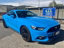mustang-pari-a-nuovo