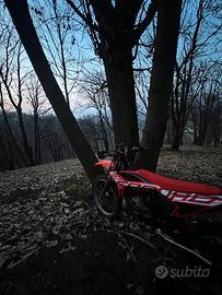 Beta rr 2022