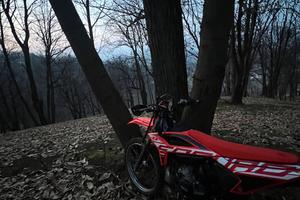 Beta rr 2022