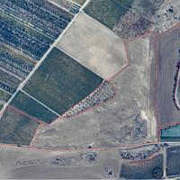 Vendita terreno agricolo Minervino murge