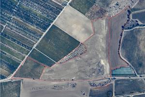 Vendita terreno agricolo Minervino murge