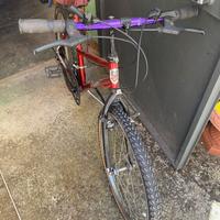 Mountain Bike Frejus 24 Pollici SHIMANO Perfetta!!