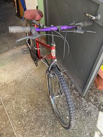 Mountain Bike Frejus 24 Pollici SHIMANO Perfetta!!