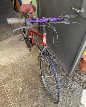 Mountain Bike Frejus 24 Pollici SHIMANO Perfetta!!