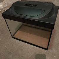 Acquario Pesci 30 litri Tetra