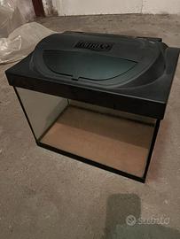 Acquario Pesci 30 litri Tetra