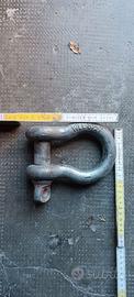 Shackle Grillo