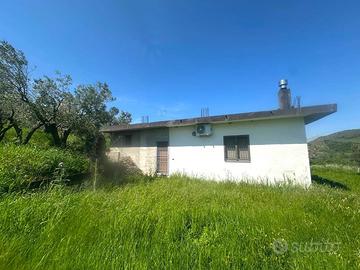 Rif.RI34| terreno agricolo borgia