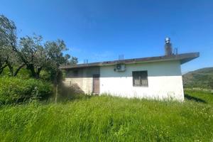 Rif.RI34| terreno agricolo borgia