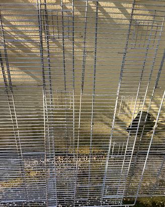 Frontali per voliere