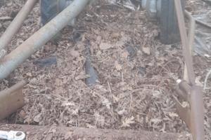 bcs taglia fieno 4 marce avanti più retro