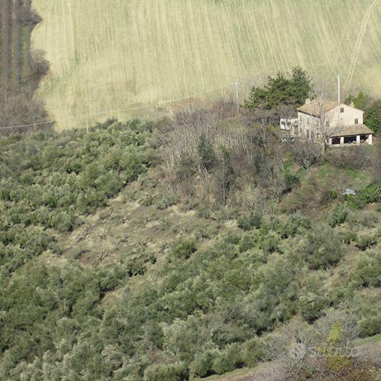 Rustico a ponzano di fermo - Vista 5