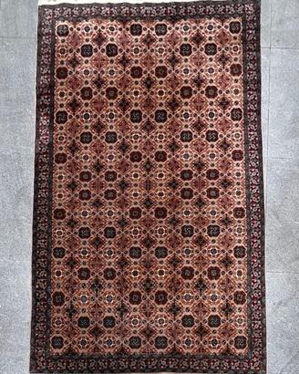 Tappeto Shirvan 200x300 annodato a mano
